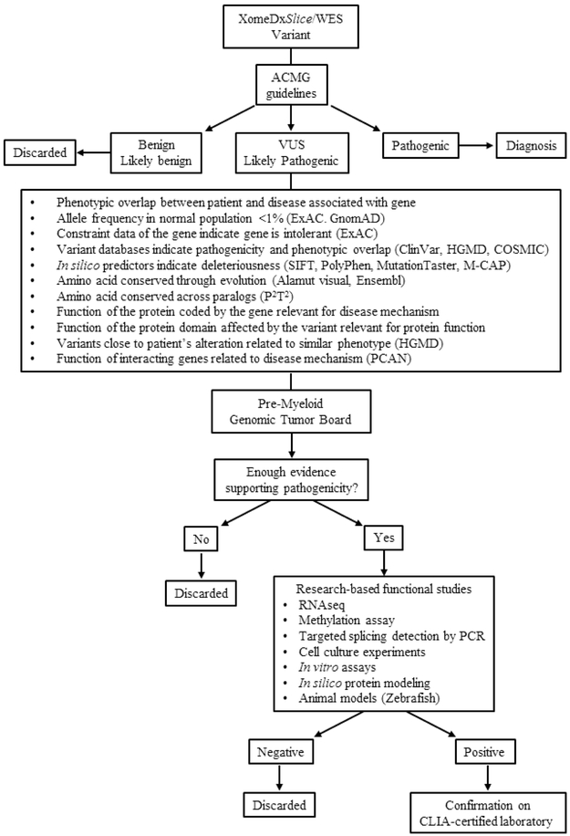 Figure 1: