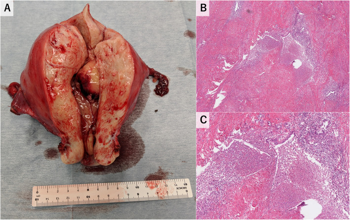 Fig. 4