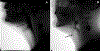 Figure 1A-B.
