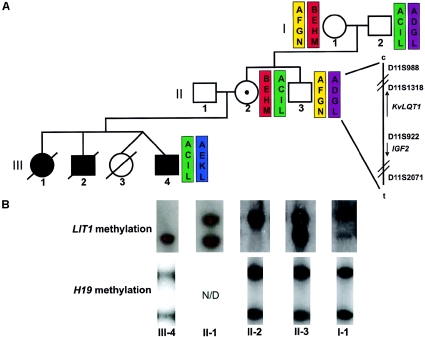 Figure  1