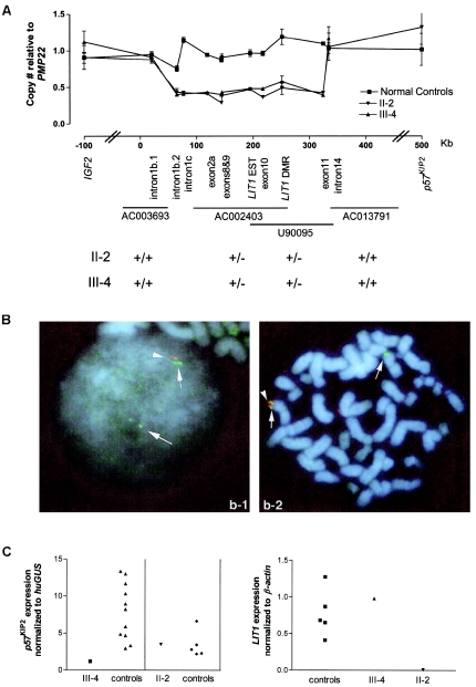 Figure  2