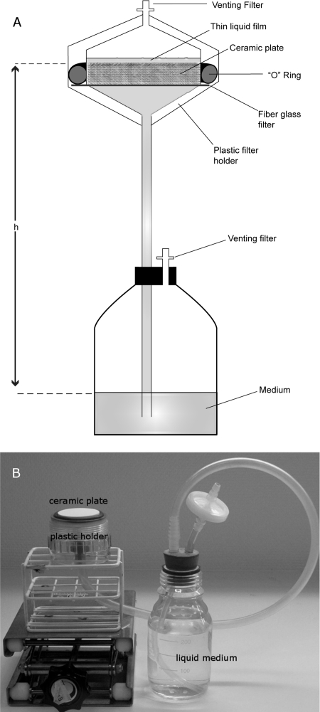 FIG. 1.