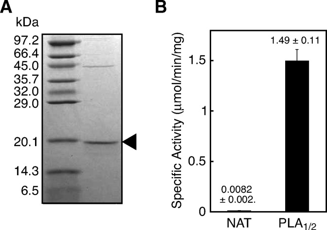 Fig. 4.