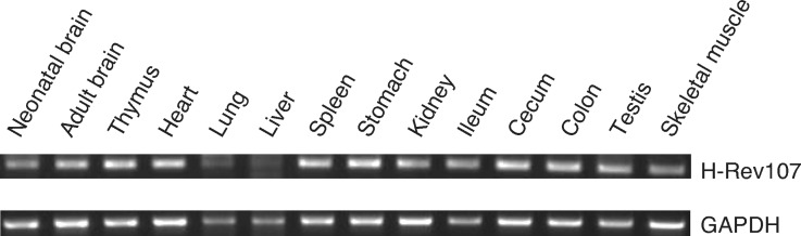 Fig. 9.