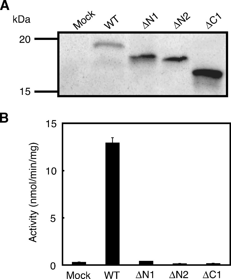 Fig. 8.