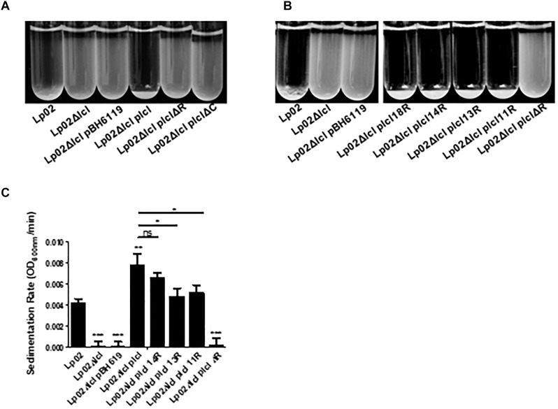 Figure 6