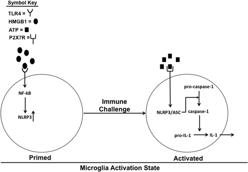 Fig. 1