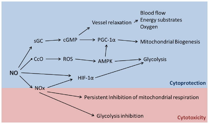 Figure 1.4