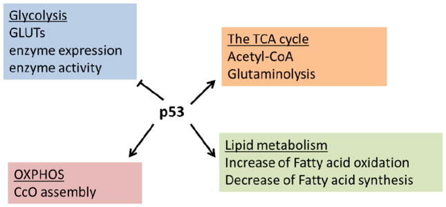 Figure 1.2