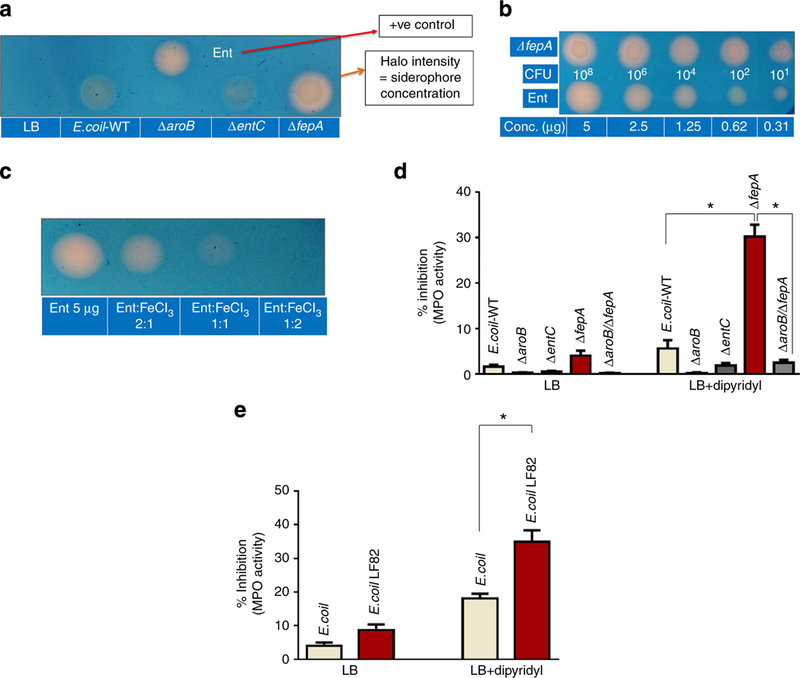 Figure 2|