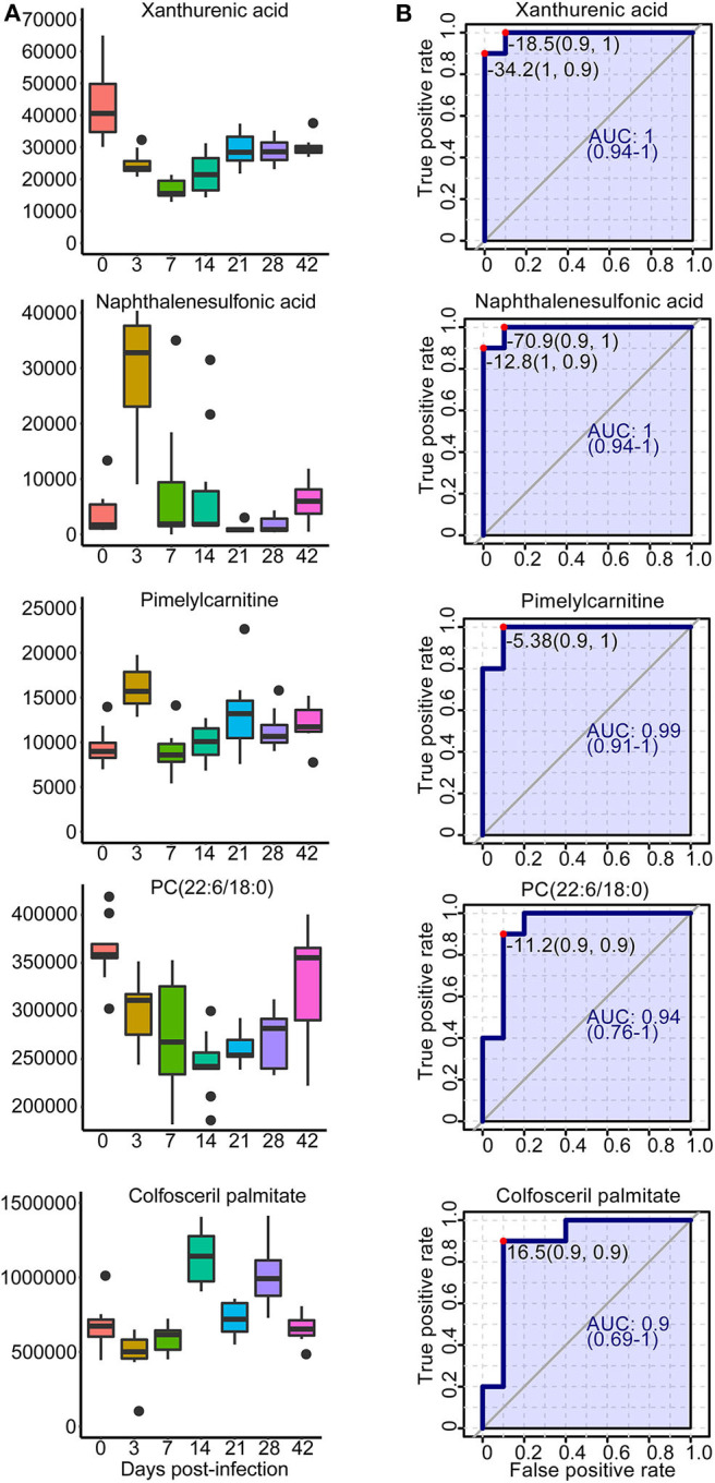 Figure 9