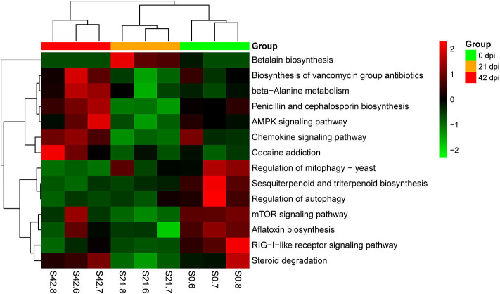 Figure 6