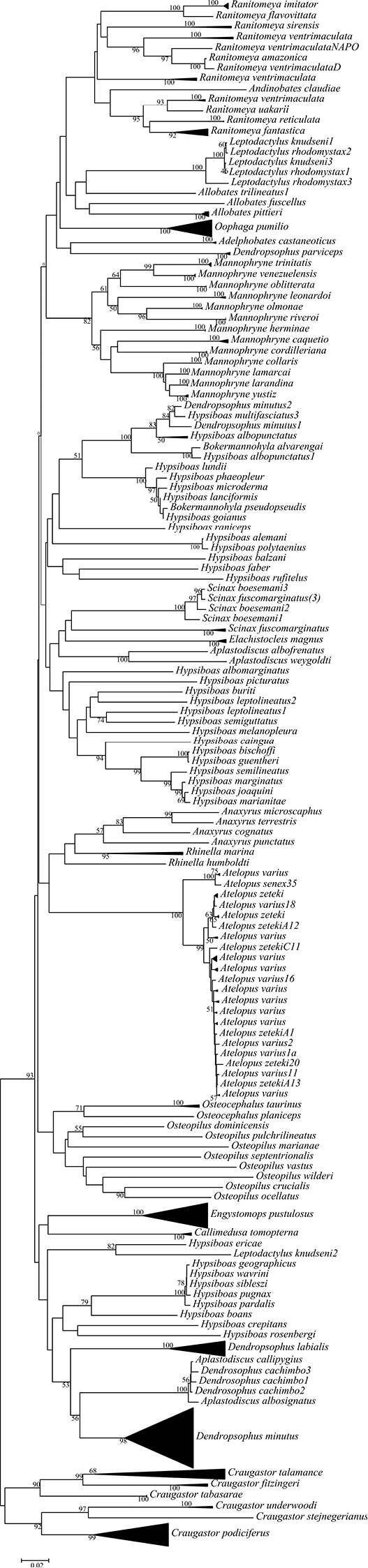 Figure 4.