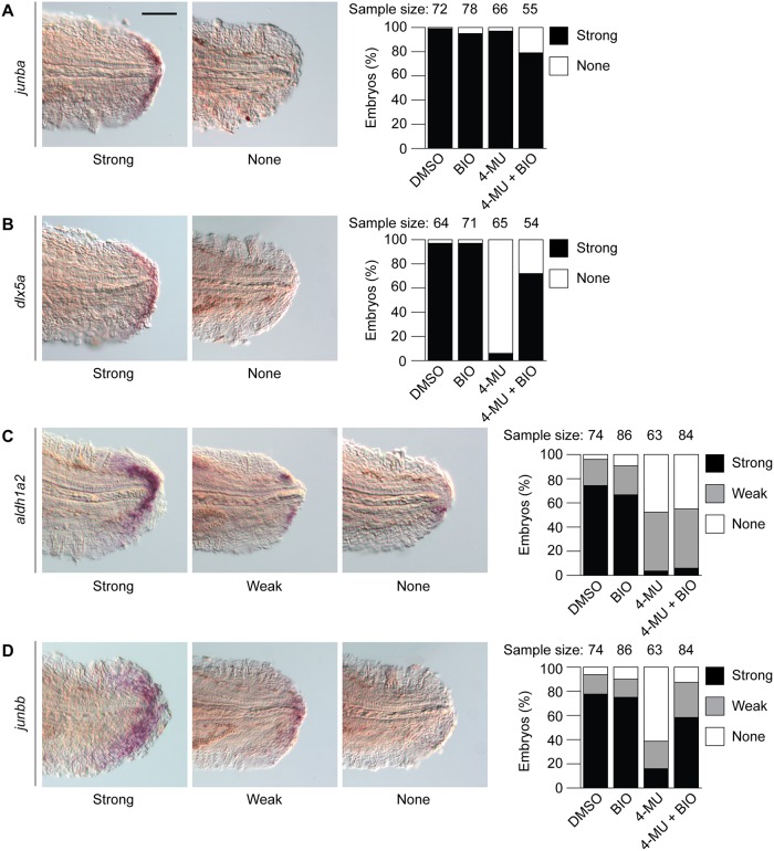 Fig 10