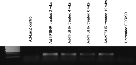 Figure 7