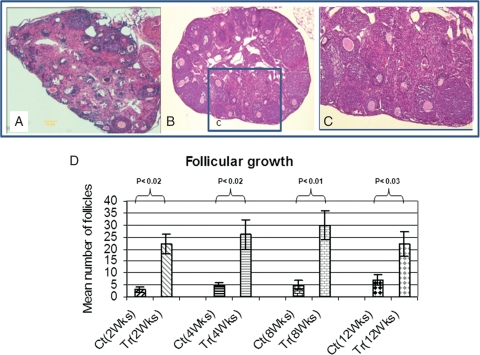 Figure 5