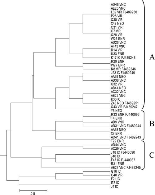 FIG. 3.