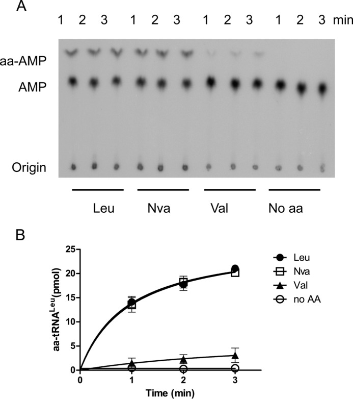 FIGURE 7.