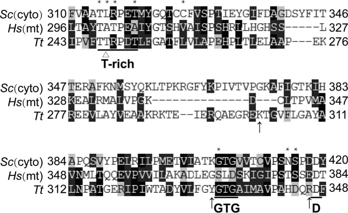 FIGURE 10.