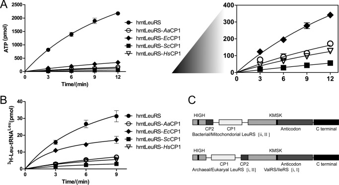 FIGURE 3.