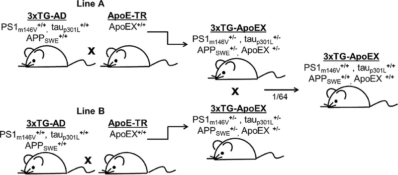 FIGURE 1.