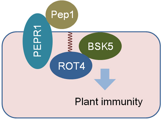 graphic file with name 44319_2023_29_Figa_HTML.jpg