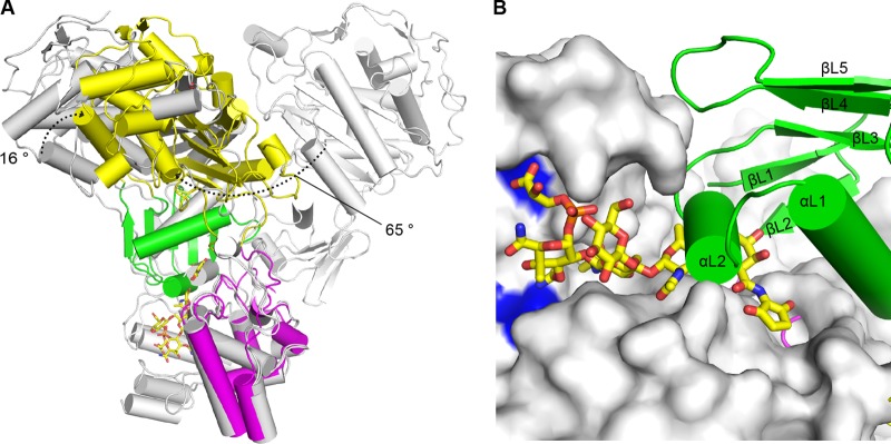 Fig 2