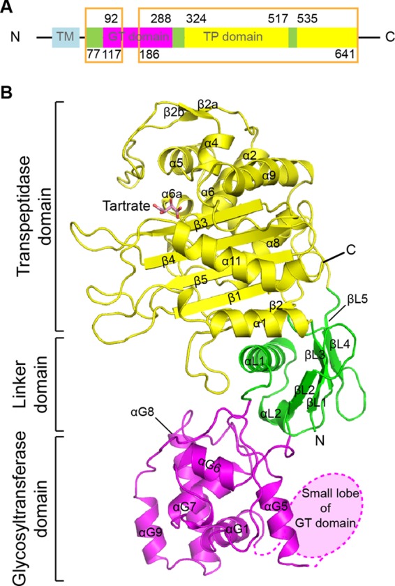 Fig 1