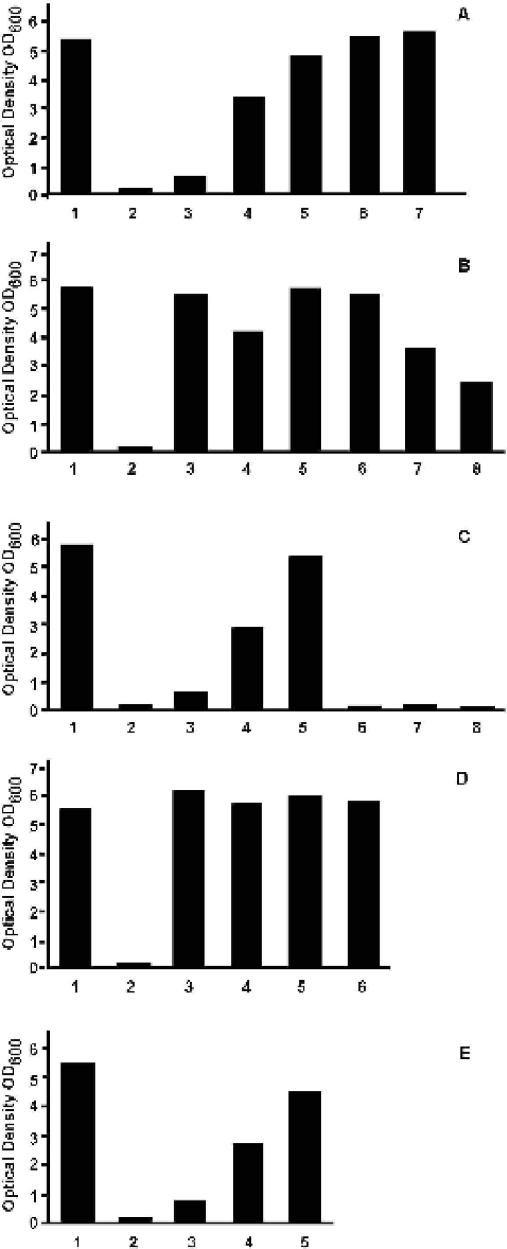 FIG. 2.