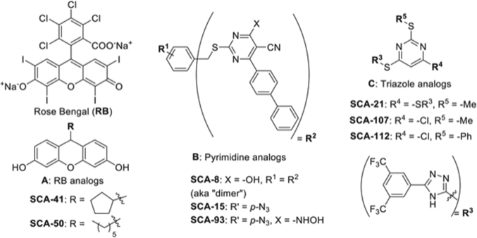 Figure 2.