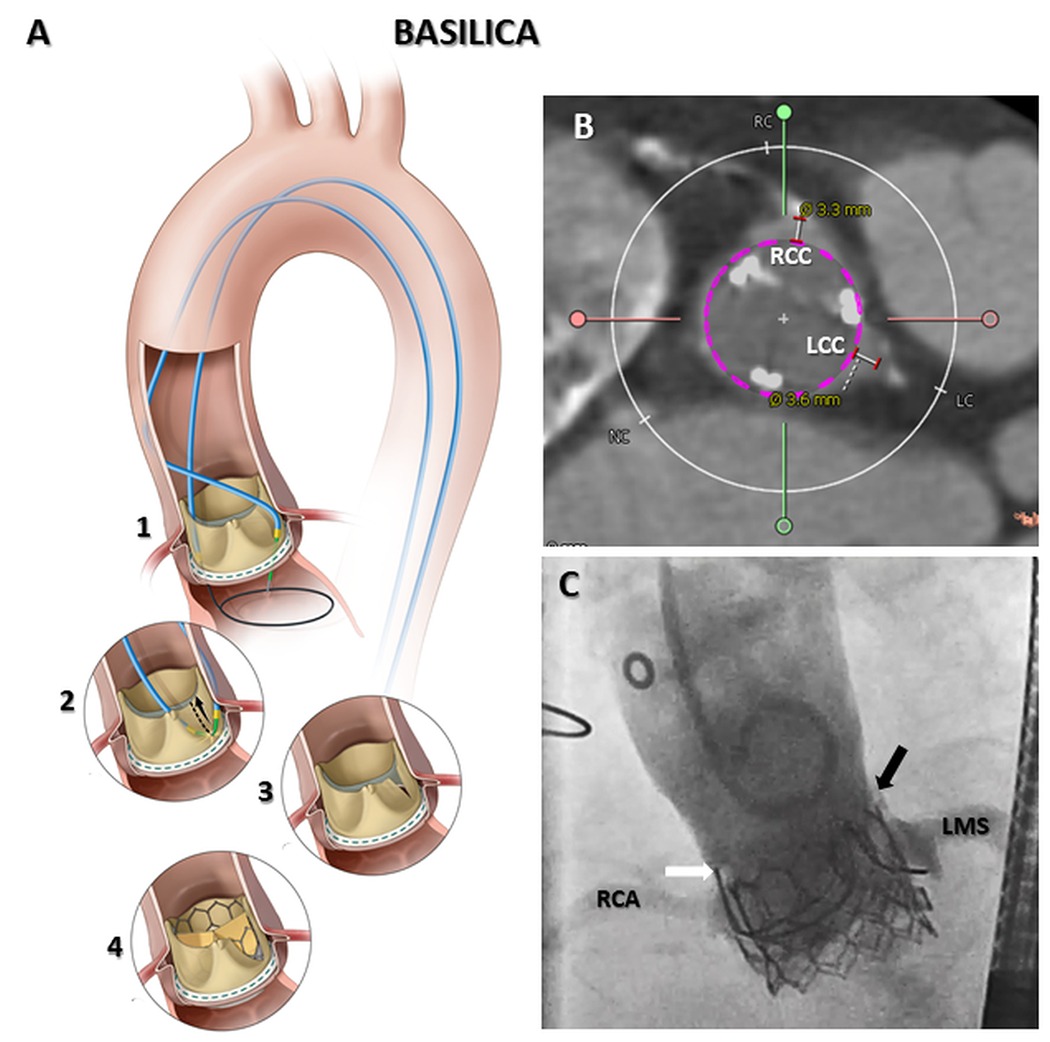 Fig 6.