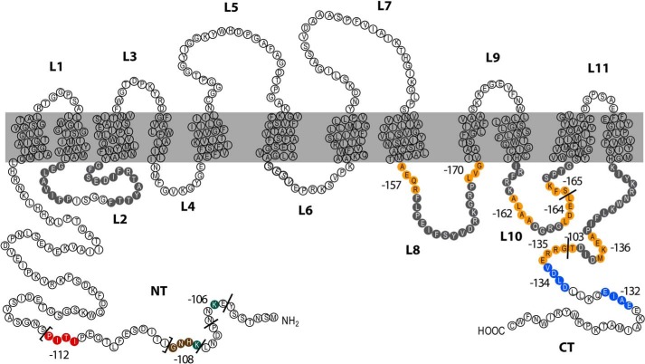 FIGURE 5.