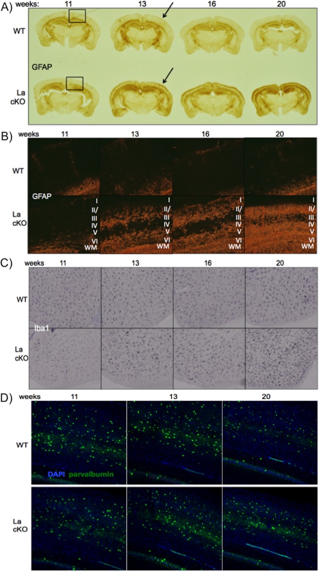 FIG 6