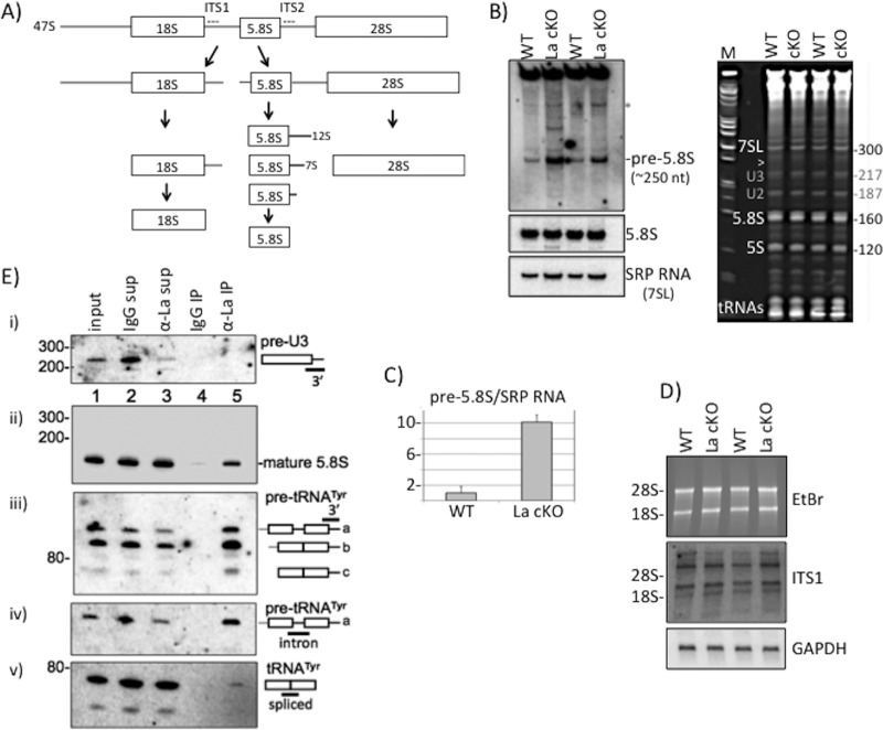 FIG 1