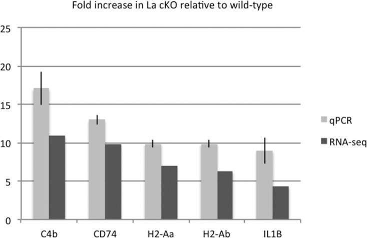 FIG 3