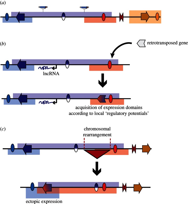 Figure 4.