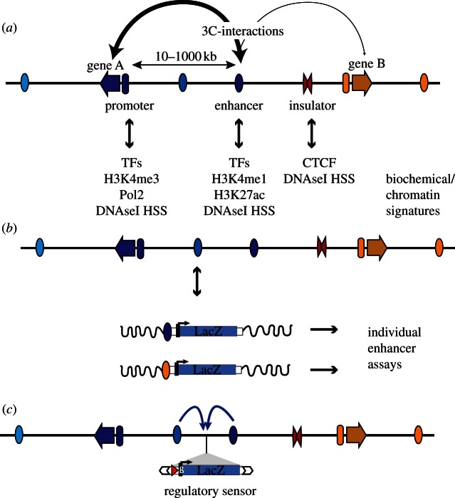 Figure 1.