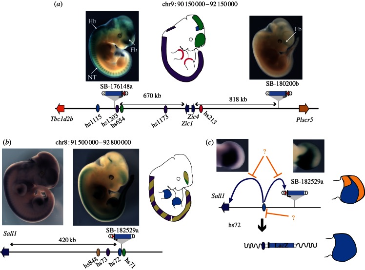 Figure 3.