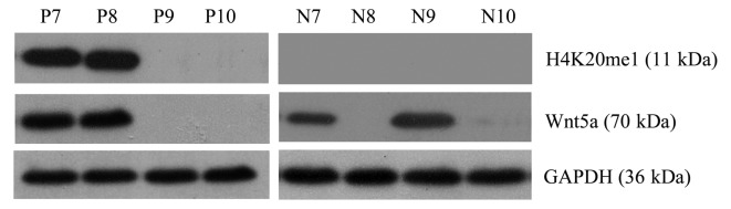 Figure 7.