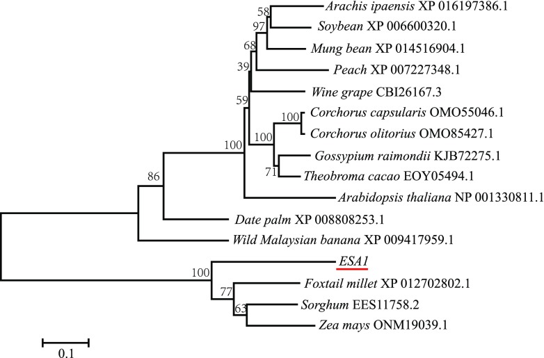 Figure 6.