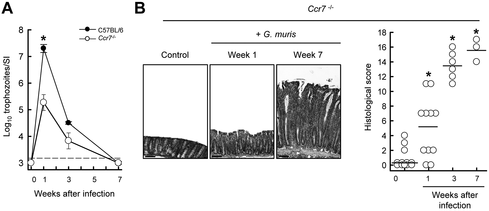 FIG. 6.