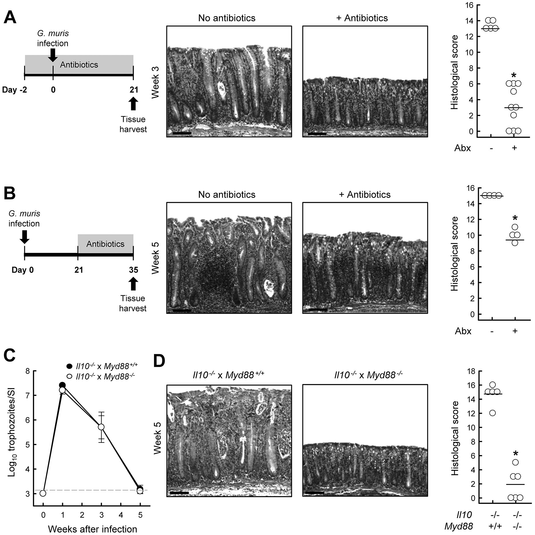 FIG. 8.