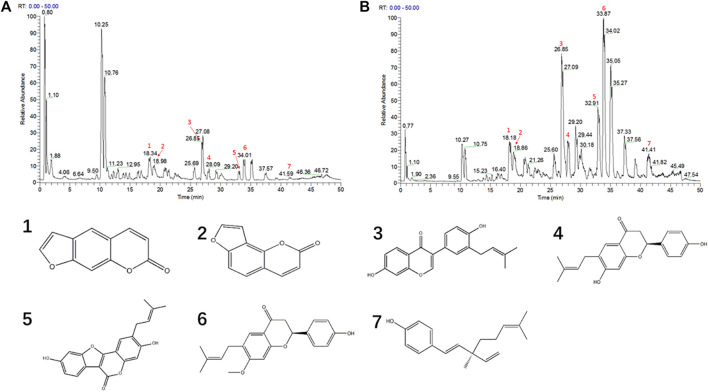 FIGURE 4