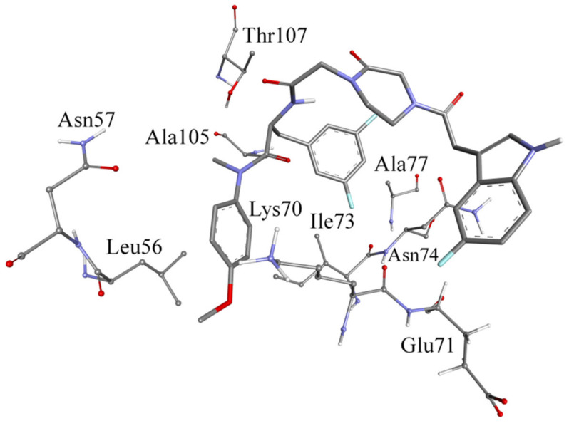 Figure 5