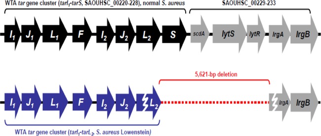 FIG 5