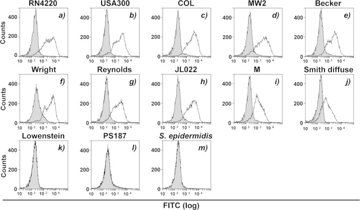 FIG 2