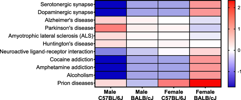 Figure 11.