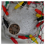 graphic file with name sensors-21-07081-i003.jpg