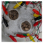 graphic file with name sensors-21-07081-i005.jpg