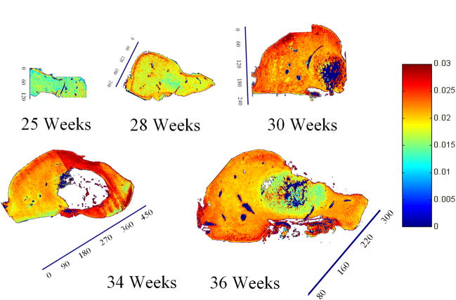 Fig. 10